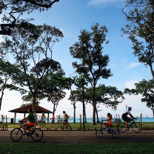 Emerald of Katong residents cycling at East Coast Park